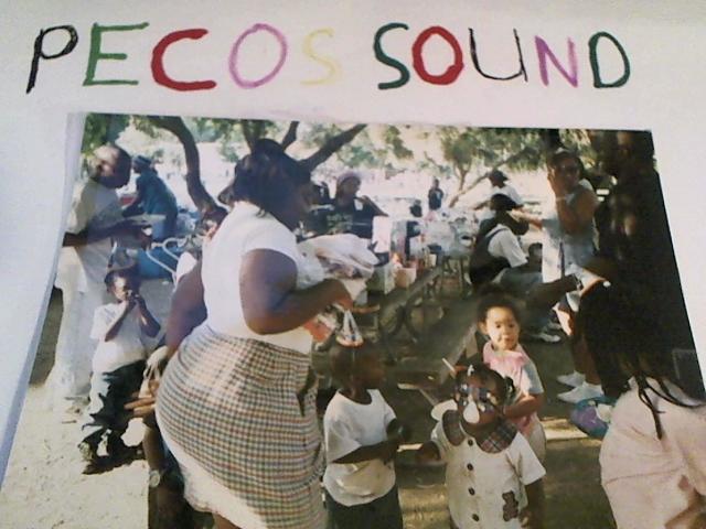 Hud-2 vinyl photos 2864