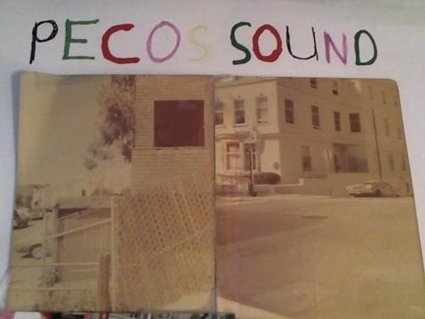 Hud-2 vinyl photos 2868