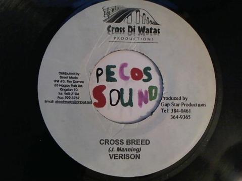 Hud-2 vinyl photos 3056