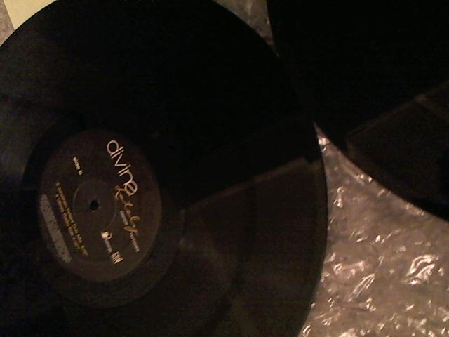 Hud-2 vinyl photos 3442