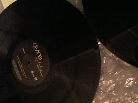 Hud-2 vinyl photos 3442