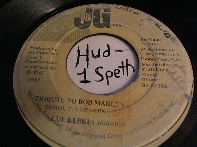 Hud-2 vinyl photos 430