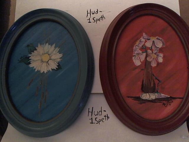 Hud-2 vinyl photos 4808