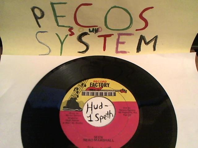 Hud-2 vinyl photos 500