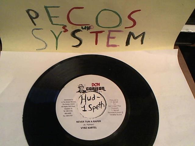 Hud-2 vinyl photos 517