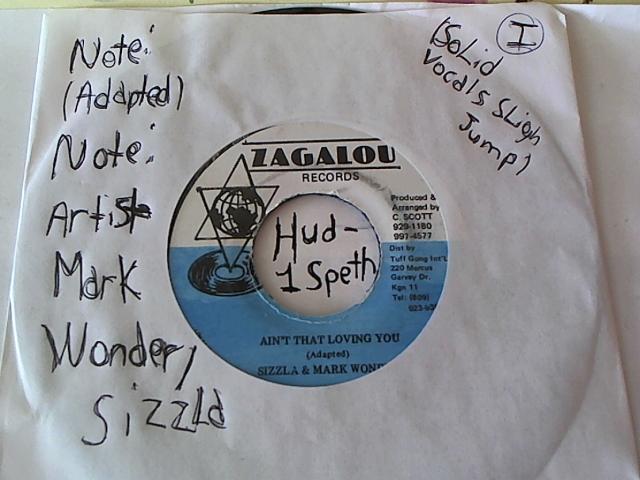 Hud-2 vinyl photos 649