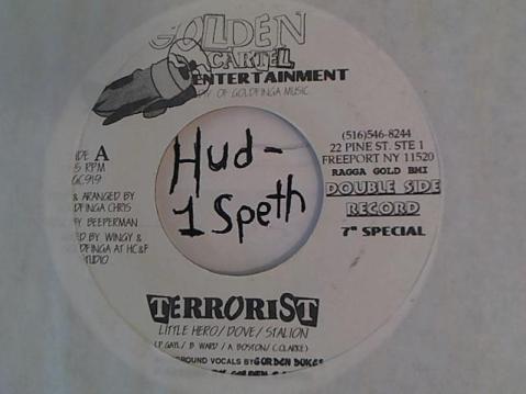 Hud-2 vinyl photos 889