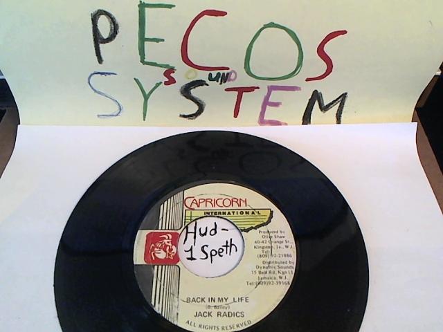 Hud-2 vinyl photos 963