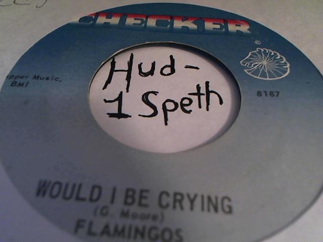 Hud-2 vinyl photos 082