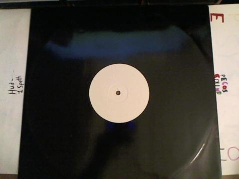 Hud-2 vinyl photos 3184