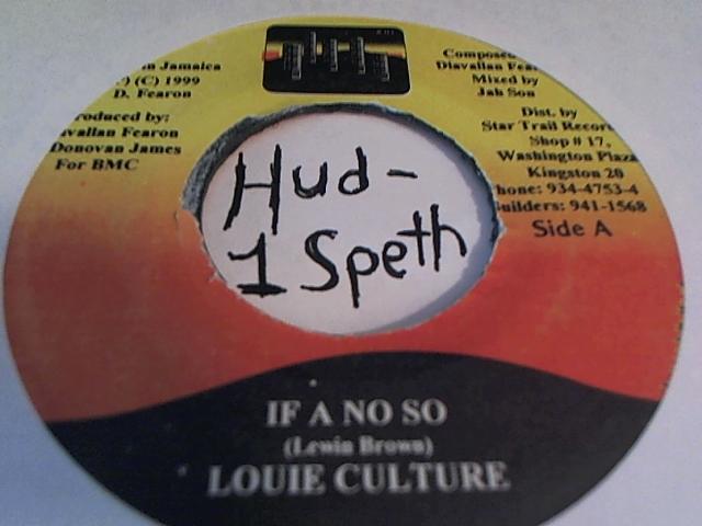 Hud-2 vinyl photos 529