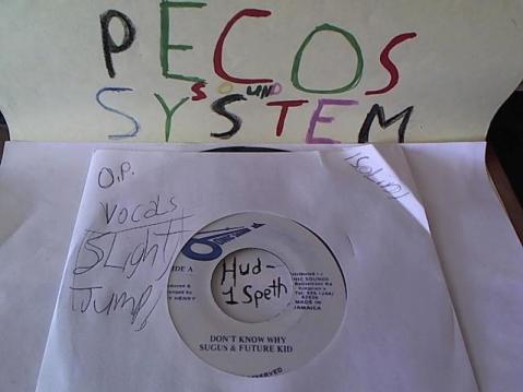 Hud-2 vinyl photos 676