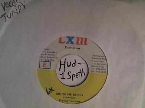 Hud-2 vinyl photos 2341