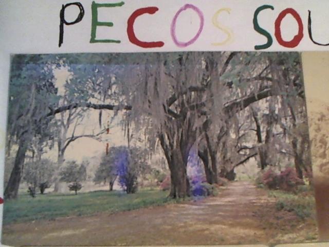 Hud-2 vinyl photos 2775