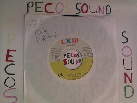 Hud-2 vinyl photos 3018