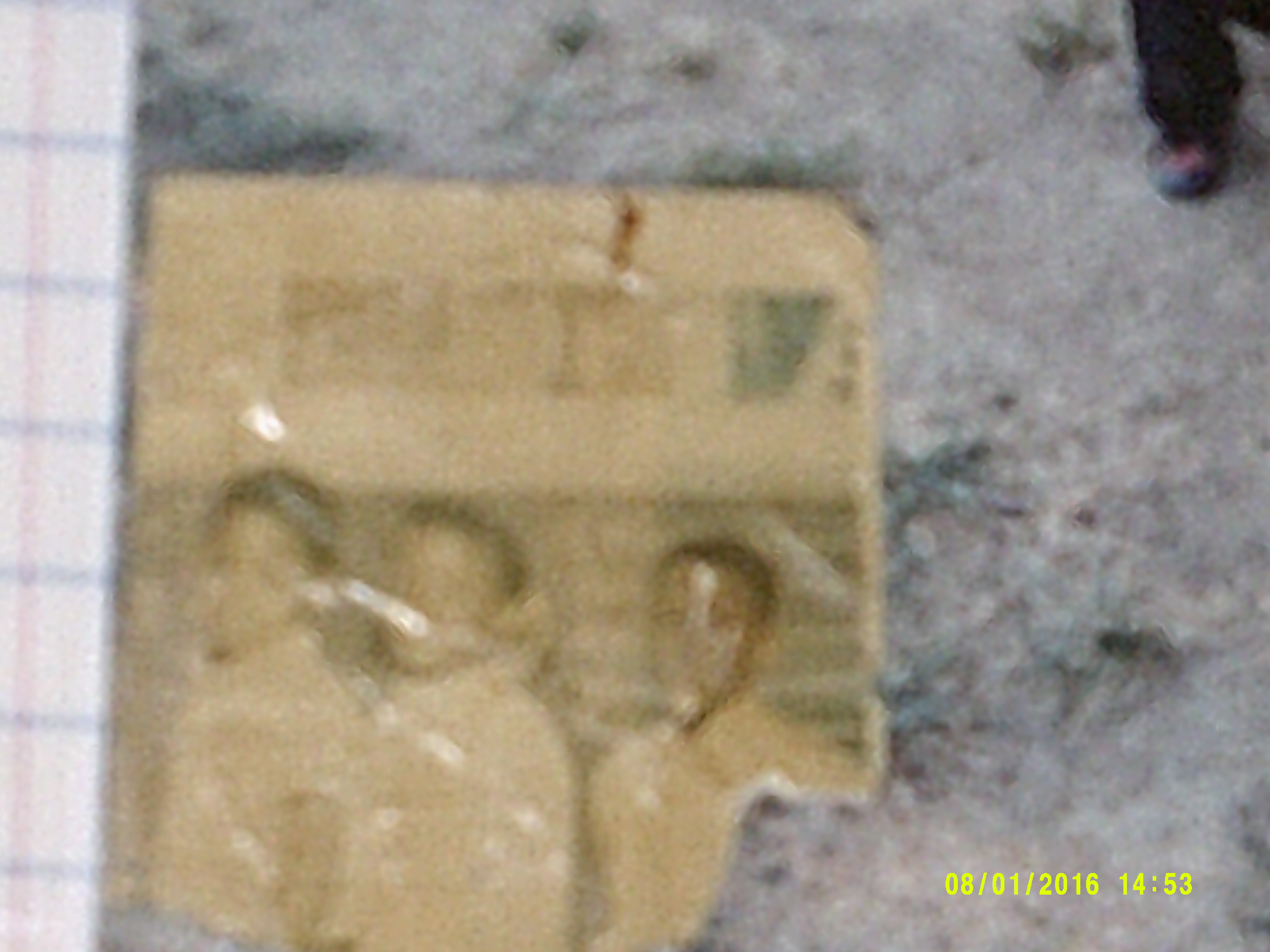Digital Camera