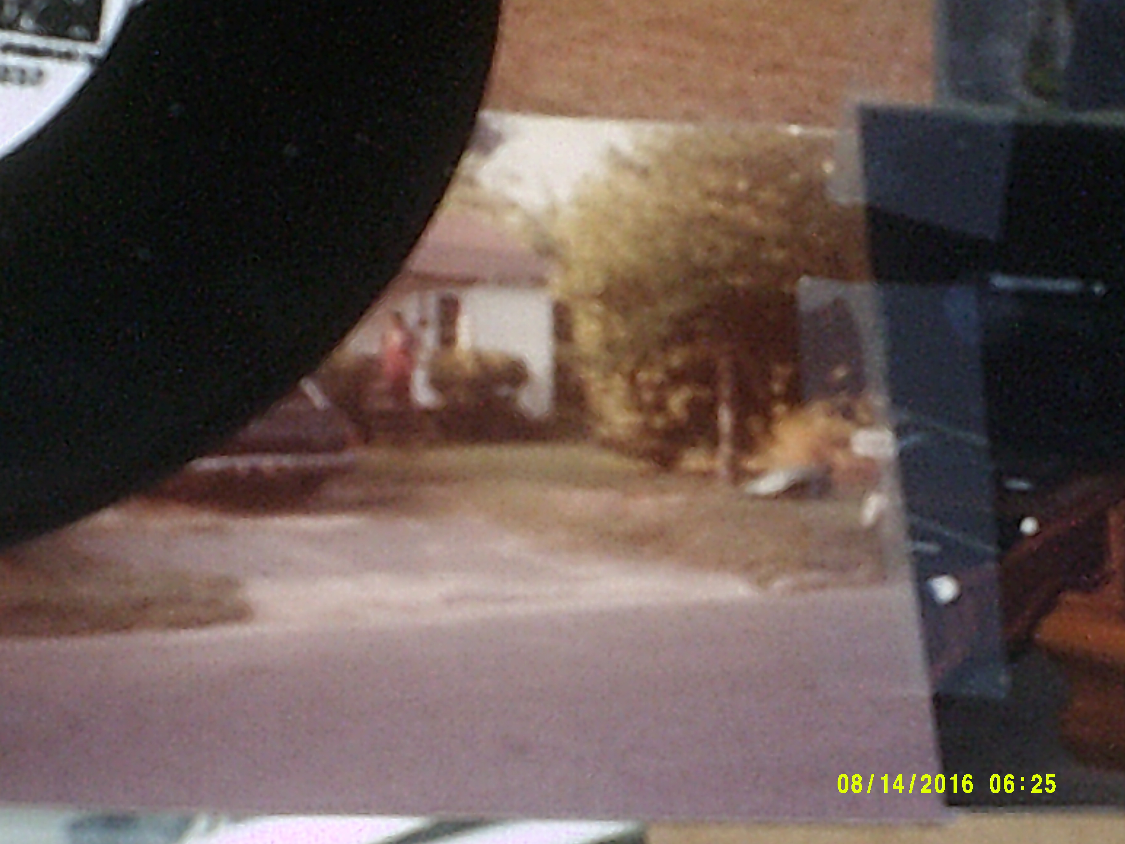 Digital Camera