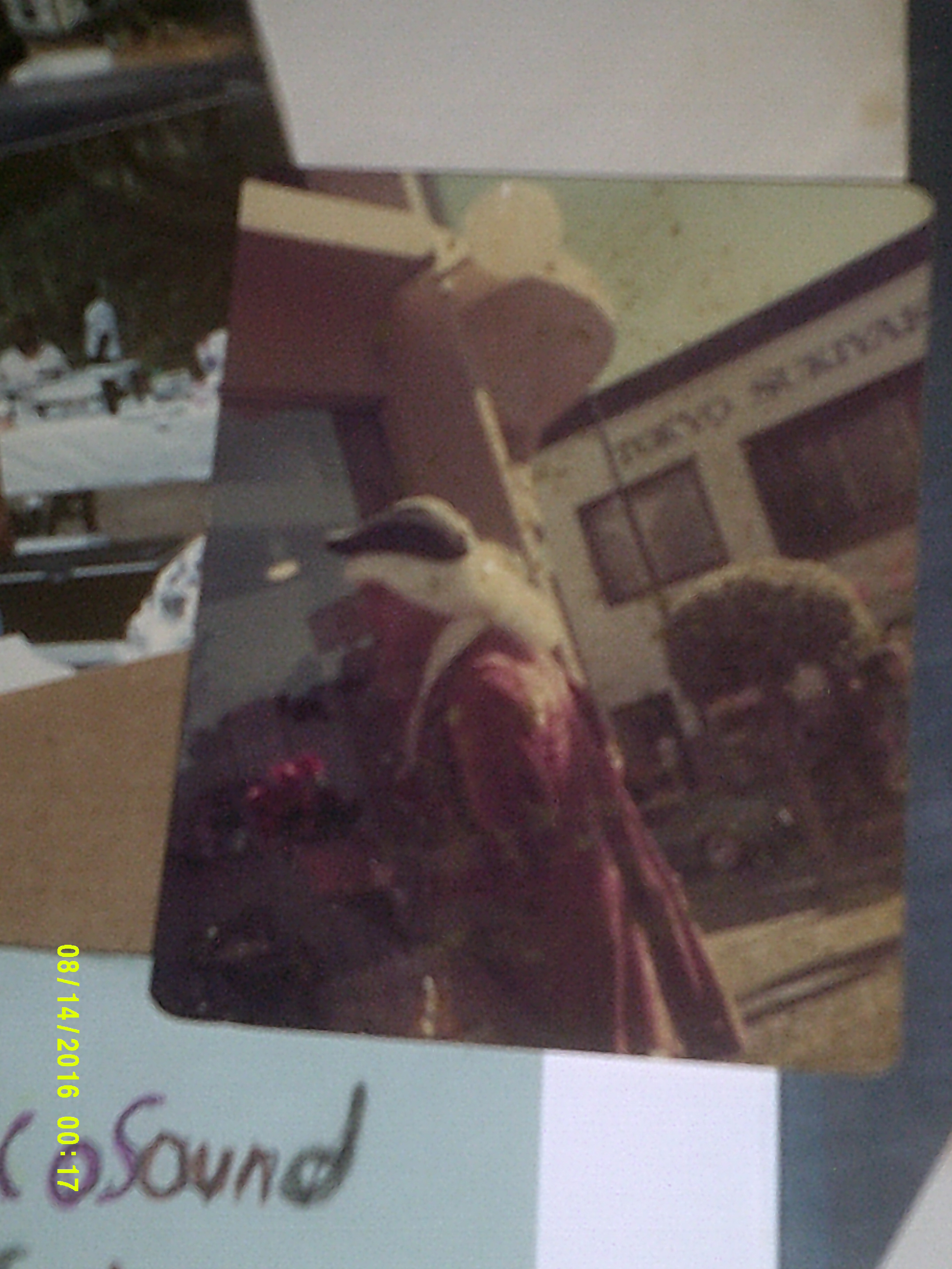 Digital Camera