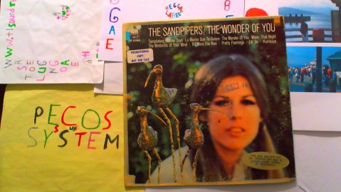 WIN_20190504_07_51_39_Pro